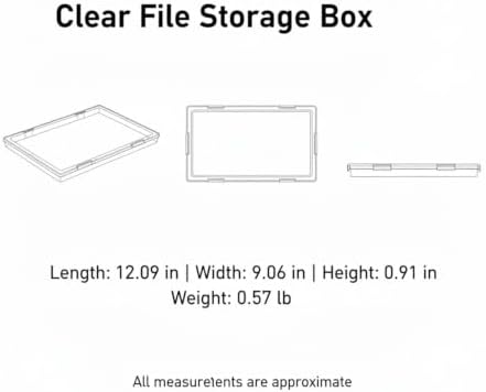 Clear Storage Bin