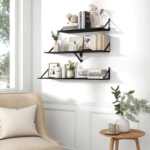 Fun Memories Deep Floating Shelves for Wall, 16W x 8D Wall Mounted Shelves Set of 2, Wide Display Ledge Shelf with Sturdy Metal Brackets for Living Room, Bathroom, Bedroom and Kitchen, Black