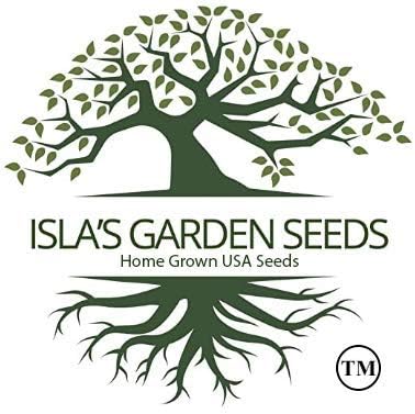 Bouquet Dill Herb Seeds, 1500 Heirloom Seeds Per Packet, (Isla's Garden Seeds), Non GMO Seeds, Botanical Name: Anethum graveolens