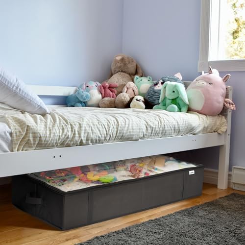 StorageExpert Under Bed Storage Containers, Closet Organizer, Black, 2 Pack