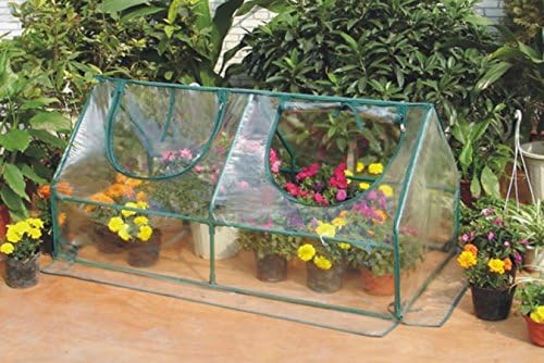 Zenport SH3212A-10PK Garden Cold Frame Greenhouse Cloche, Box of 10