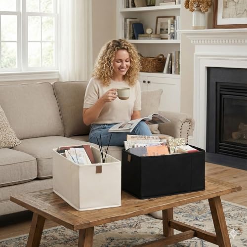 StorageWorks Narrow Storage Bins for Closet Shelves, Beige, 2-Pack