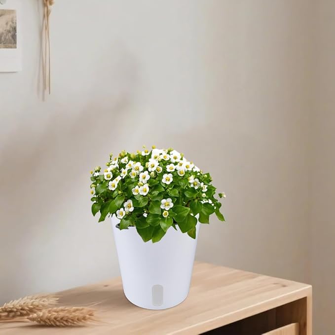 6 Kits Self Watering Pots for Indoor Plants, 4.93inch White Plastic Self Watering Planters for Herbs Succulents, Garden Decorative Flower Pots with Water Visual Window, Water-Absorbing Rope