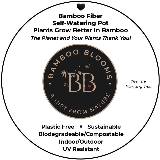7 Inch Self-Watering Bamboo Planter (Cream) - Round - Bamboo Fiber - No Overwatering or Root Rot