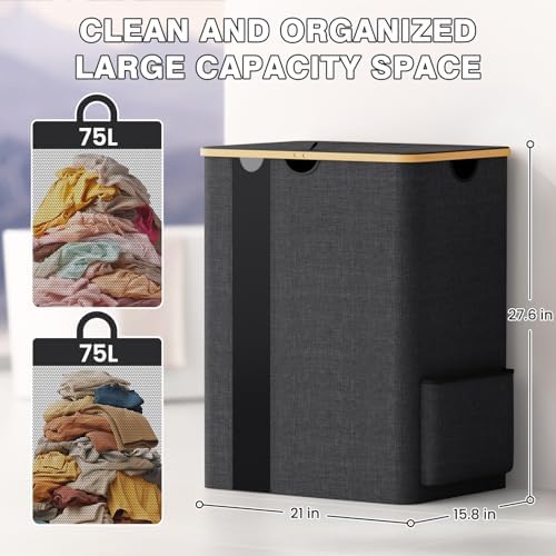 BlissTotes 150L Laundry Basket Hamper with Lid & Removable Bag,Dark Grey