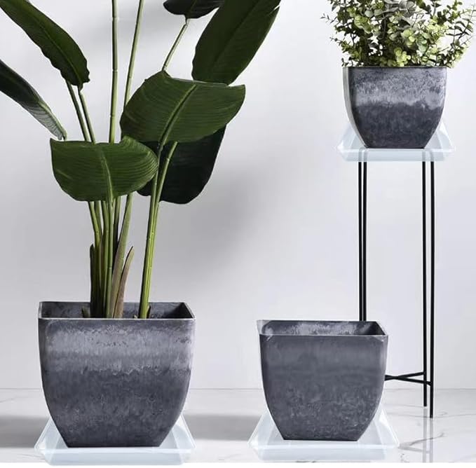 LWALRS Square Plant Saucer 12 Inch 5 Pack, Strong Clear Plastic Flower Plant Pot Saucer, Square Planters for Indoors and Outdoors Plants, Garden Plant Saucers for Pots Plant Trays.