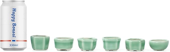 Bonsai Planter 1.8 inch (4.5cm) Mini Succulent Glazed Pots Set of 12 Green
