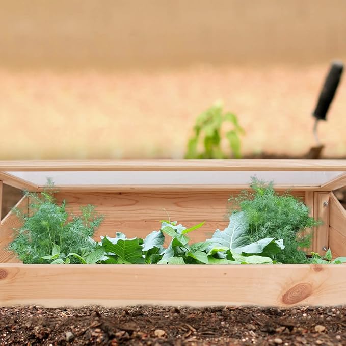 Esschert Design Small Wood & Polycarbonate Cold Frame - Light Brown
