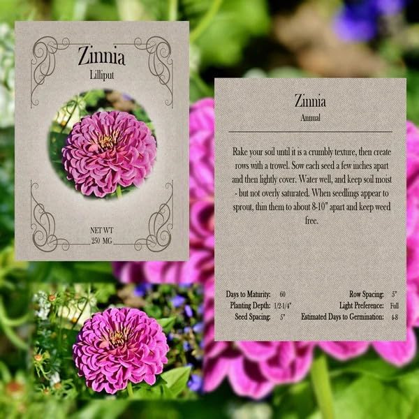 Set of 7 Classic Cottage Garden Seed Collection ā Grow Timeless Heirloom Flowers for a Charming, Vintage Garden ā Non-GMO, High Germination ā Aster, Poppy, Zinnia, Sweet William & More