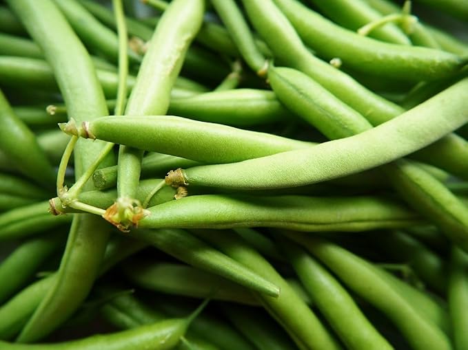 Vegetable, Flower, and Herb Seed Set - 10 Varieties of Non-GMO and Heirloom Premium Seeds for Planting - Rosemary, Mixed Greens, Cucumber, & More!