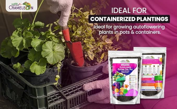 Organic Autoflower Potting Soil Mix ā Ready-to-Use Living Soil, No Fertilizers Needed ā Balanced Nutrients, Light Texture, Excellent Drainage, Boosts Germination & Root Growth (2 QUARTS)