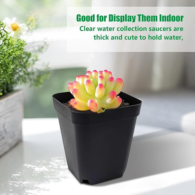 RooTrimmer Square Nursery Pots 2.7 Inch, Seed Starting Pot with Drainage Small Plastic Plant Pots Flower Planter (Black 1200pcs, 2.7" 1200P)