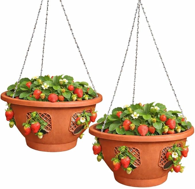 Ultimate Hanging Baskets - Strawberry, Tomato, Flower, and Herb Outdoor Planters - Use Garden Pots for Growing Plants Outside On A Deck, Fence, or Balcony (10, Terracotta)