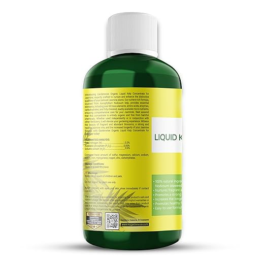 GARDENWISE Organic Premium Kelp Seaweed Fertilizer for Jasmin - Liquid Fertilizer - Liquid Plant Food - Nutrient-Rich Soil Enhancer - Natural Plant Food for Jasmin (8 OZ)