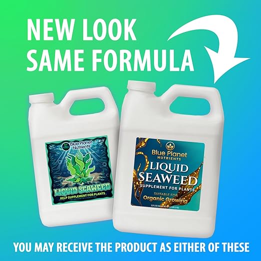 Liquid Kelp Seaweed Fertilizer Concentrate - Blue Planet Nutrients Ascophyllum Nodosum Liquid Seaweed Supplement - Makes 470 Gallons - Quart (32 oz)