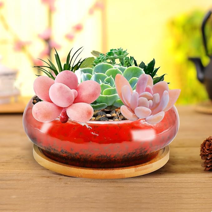 7.4 inch Ceramic Bonsai Pots with Trays Shallow Planters, Succulent Planters with Drainage Hole, Round Large Shallow Pots, Bonsai Pots Garden Decorative Cactus Stand Flower Container (Red)