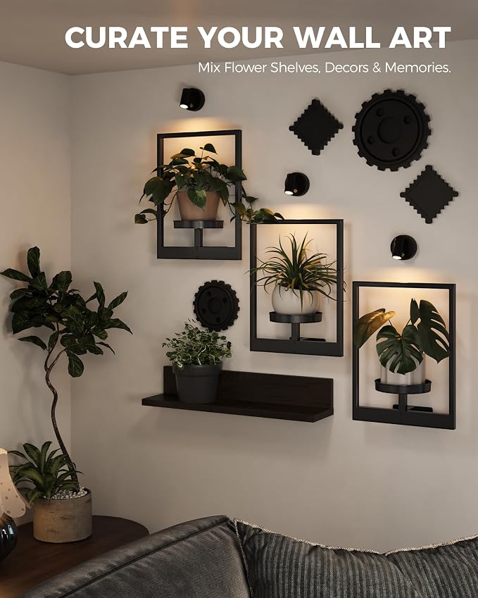 Bamworld Hanging Planters for Indoor Plants Wall Decor Living Room Light | Plant Stand Indoor Wall Planters Plant Hanger Window Plant Shelves 3-Packs with Lights