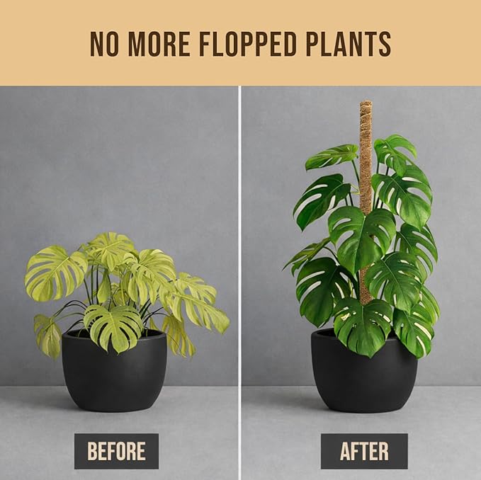 Craft911 29" Moss Pole Monstera Plant Support, Indoor Plant Stakes | 2 Pack Bendable Stakes Prevents Climbing Plants from Flopping