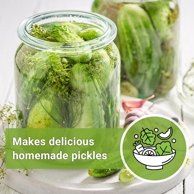 Sow Right Seeds - National Pickling Cucumber Seeds for Planting - Non-GMO Heirloom Packet with Instructions to Plant and Grow a Home Vegetable Garden - Famous Variety for Homemade Pickles (1)