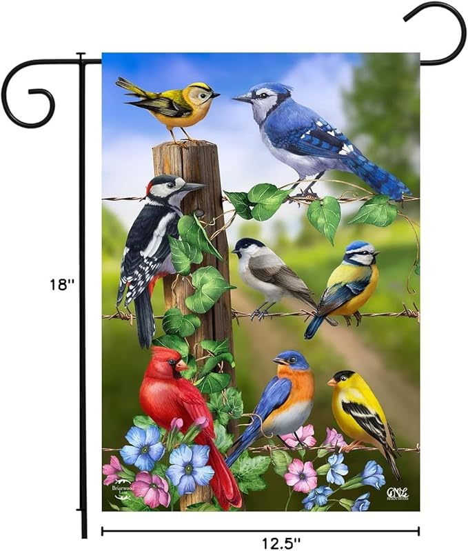 Country Birds Spring Garden Flag Goldfinches Blue Jay 12.5" x 18" Briarwood Lane