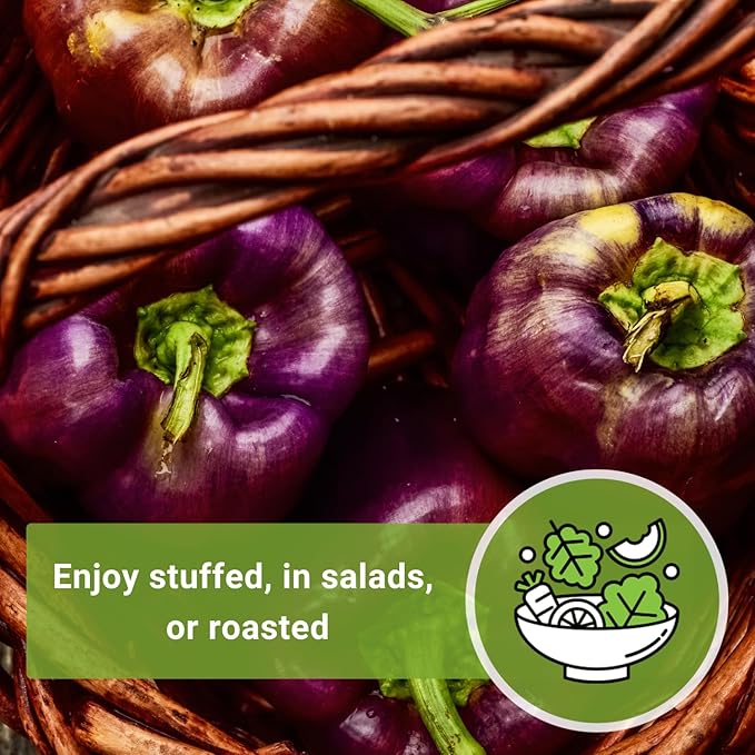 Sow Right Seeds - Purple Beauty Pepper Seeds for Planting - Non-GMO Heirloom Packet with Instructions to Plant and Grow an Outdoor Home Vegetable Garden - Sweet Bell Variety, Violet Purple (1)