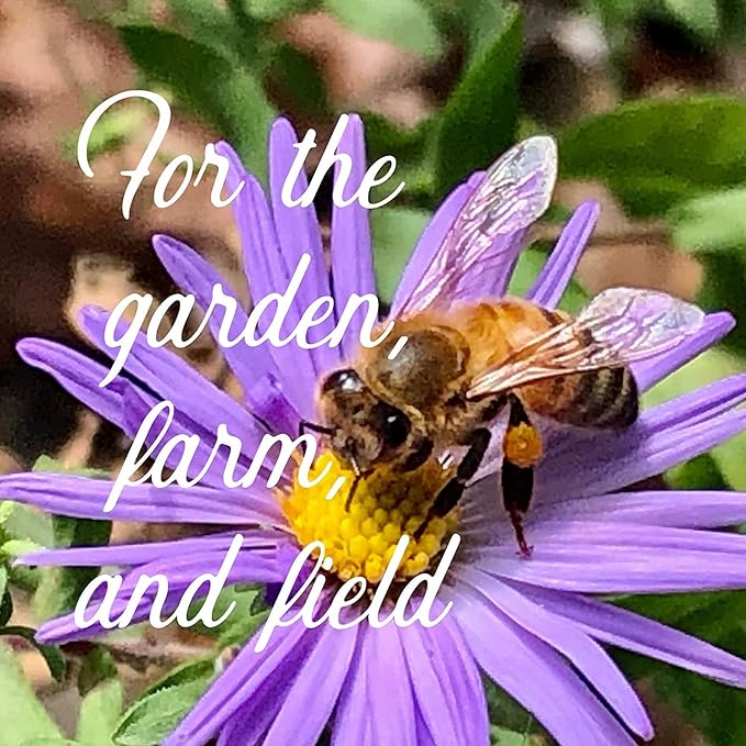 Wildflower Seed Bulk, 3 Oz. (80,000+ Seeds) β 19 Non-GMO Flower Seeds for Shade, Annual & Perennial Wild Flowers Mix for Partial Shade β Shade Tolerant by Mountain Valley Seed