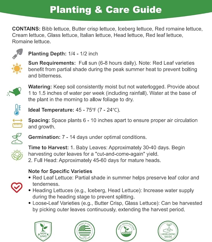 Lettuce Seeds, 10 Varieties Individual Packs, 40000+ Non-GMO Heirloom Vegetable Seeds for Planting Indoor Outdoor for Fresh Salad, Easy to Grow for Garden Beginners, Gifts for Women Men Plant Lovers.