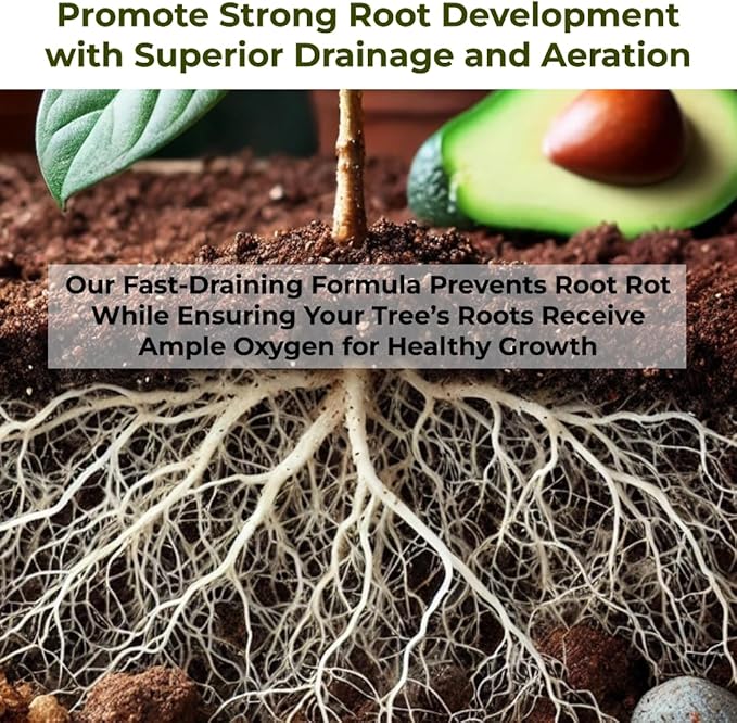 GARDENWISE Avocado Tree Soil – Premium Organic Potting Mix for Avocado Trees | Tailored pH & Organic Nutrients | Fast-Draining & Moisture-Retaining | Indoor & Outdoor Use (2 QUARTS)