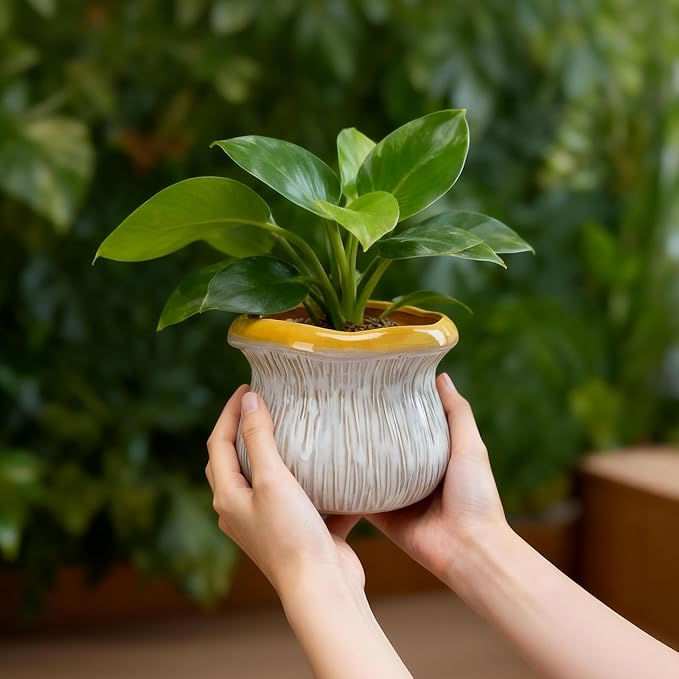 2 Pack Ceramic Plant Pots with Drainage Hole, Two-Tone Textured Planters for Indoor Outdoor Plants, Small Decorative Flower Pots for Succulents Herbs Houseplants