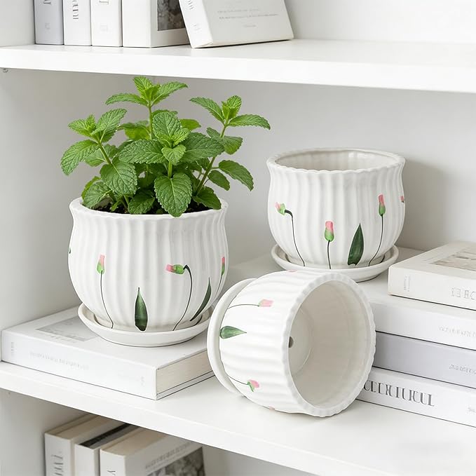 SHECIPIN Plant Pots for Indoor Plants Set of 3, 4+5.3+6.7 Inch Ceramic Plant Pots with Drainage Hole,Cute Garden Pots Succulent Pots with Saucer