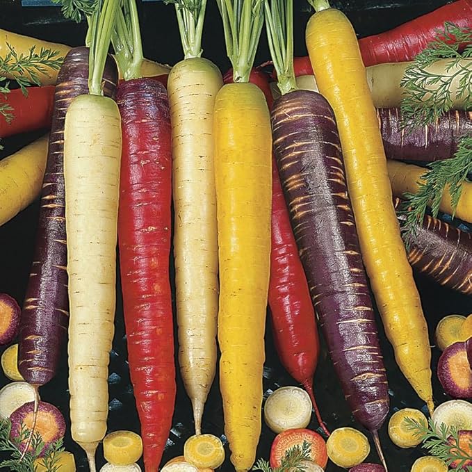 Park Seed Easy DIY Planting Sow Effortless Collection Seed Tape, Rainbow Blend Carrot, 15 Feet
