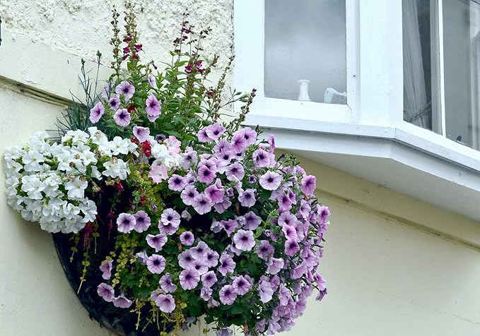 2PCS Half Round Replacement Coco Liner for Hanging Basket Wall Flower Basket, Half Circle Wall Planter Coconut Fiber Plant Basket Liner for Garden Planter Flower Pot (10 inch)