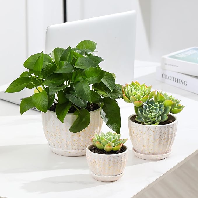 STHIE Ceramic Plant Pots with Drainage Holes and Saucers, Round Flower Pots for Indoor Plant, Diameter 3.3/4.3/5.5 Inches Small Flower Planters Set of 3