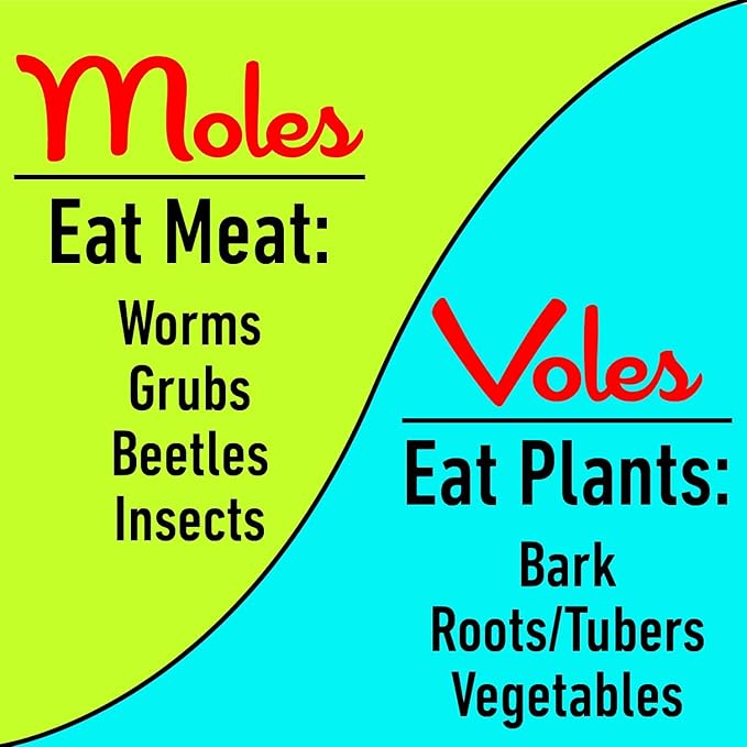 I Must Garden Mole & Vole Repellent Hose End Concentrate: Professional Strength – Twice The Coverage – All Natural Ingredients – 32oz