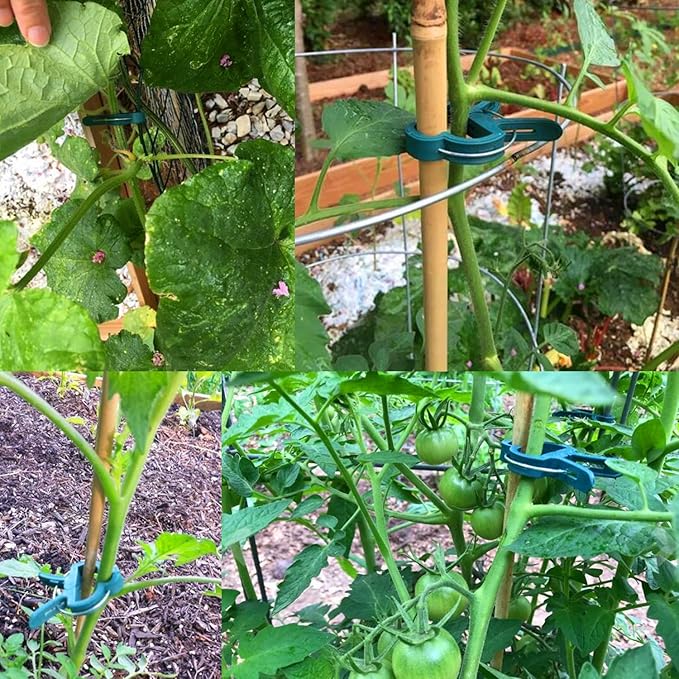 Yinghezu 40 Pcs Plant Support Clips,Flower and Vine,Garden Tomato Plant Support Clips for Supporting Stems,Vines Grow Upright Climbing,Tool for Straightening,Tomato Cage,Trellis. 2 Sizes in one Pack