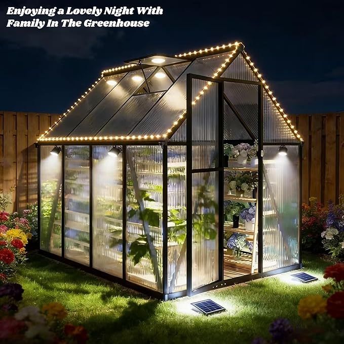 6x8 FT Greenhouse for Outdoors, Polycarbonate Greenhouse with Quick Setup Structure and Roof Vent, Aluminum Large Walk-in Green House for Outside Garden Backyard, Charcoal Black
