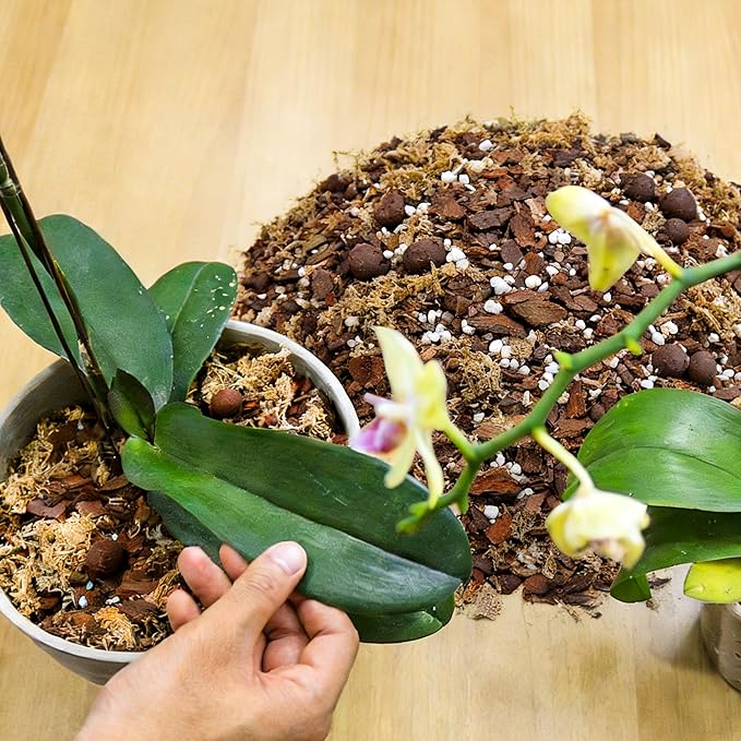 Orchid Bark Potting Mix 9QT - Orchid Soil Mix with Pine Bark, Perlite, Sphagnum Moss & Leca Clay, Fast-Draining Mix for Repotting Phalaenopsis & All Epiphytic Orchids, Indoor Orchid Mulch
