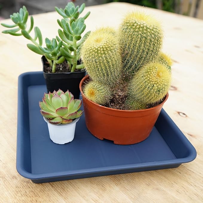 VUWEZ Rectangle Plant Tray, Plant Drip Tray, Plant Pot Saucers, Plant Germination Trays, Plant Saucers, 11'' x 9'' x 1.2'' (2 pack), Blue