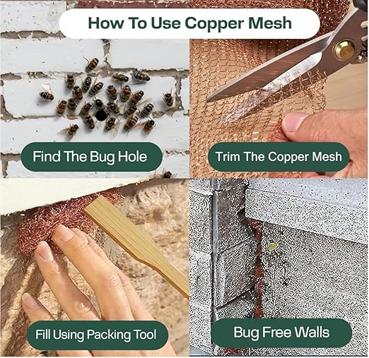 3rd Gen Copper Mesh Rodent Control Kit - Raytrends 100% Premium & Pure Copper Wool for Slug, Pest, Snail, Mice & Rat Control - Offers 2 Copper Mesh Rolls with Scissors and Packing Tool