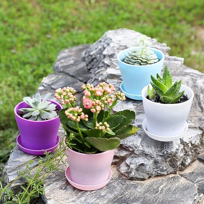 TDHDIKE 10 Pcs Plastic Planters Indoor Flower Plant Pots, Mini Flower Seedlings Nursery Pot/Planter/Flower Pot with Pallet, Modern Decorative Gardening Containers (5color 25)