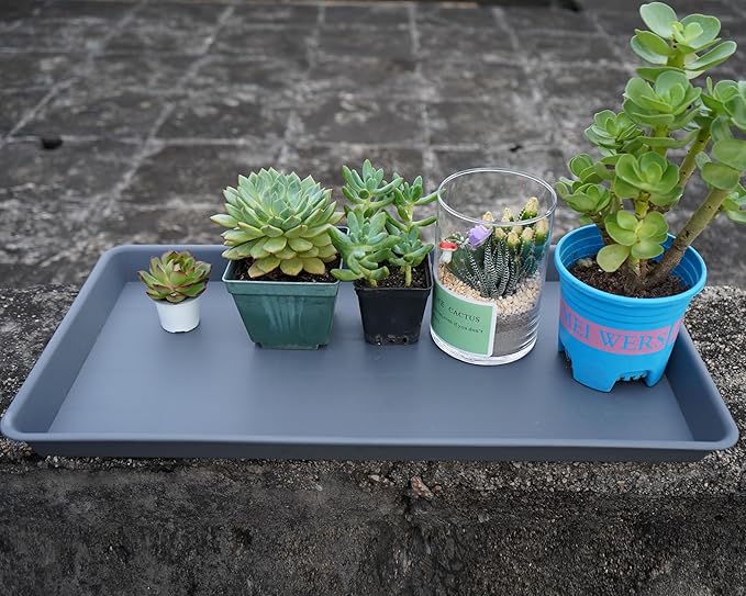 VUWEZ 2 Pack Plant Growing Nursery 1020 Trays, Plant Saucer Tray, Heavy Sturdy Seed Starting Trays, Plant Starter Trays for Indoors No Holes, Seed Starter Growing Tray (22"x11.2", Gray)