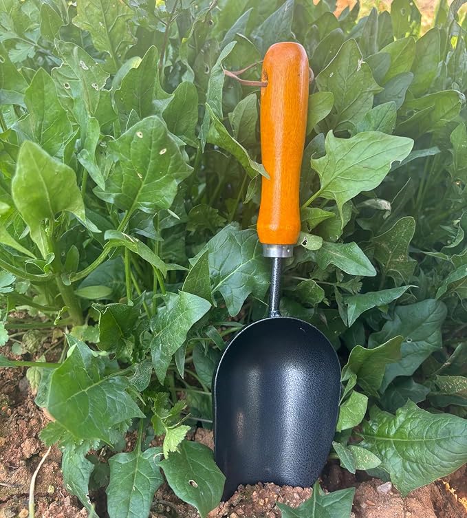 12.6āā Garden Hand Trowel, Soil Scoop Wooden Handle, Stainless Steel Potting Shovel Spoon, for Flower Vegetables Soil Transplanting, Weeding, Moving, Digging, Planting Garden Plant