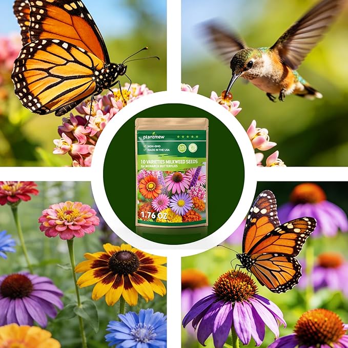Milkweed Seeds for Monarch Butterflies β Wildflower Seeds Mix 18000+ Seeds (1.76 oz), Perennial Pollinator Garden Flowers, Attract Bees, Butterflies & Hummingbirds, Easy to Grow