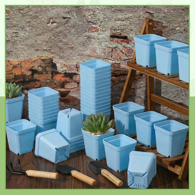 Yaomiao 200 Pack 3 Inch Blue Nursery Pot Square Flower Pots Plastic Plant Succulent Planter Seed Starting Pots with Drainage Holes for Garden Office Balcony Decor Indoor Outdoor Plant Seedling