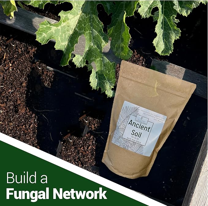 Elm Dirt Premium Ancient Soil for All Plants - Organic for Outdoor & Indoor Use | Garden Soil for Plant Nutrients Growth & Protect From Bugs - Roots Organic, 10lbs