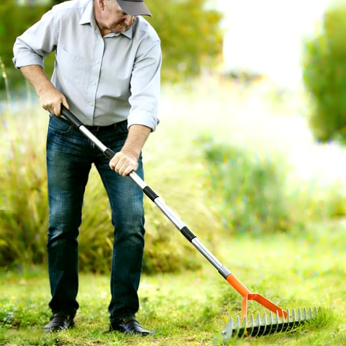 TCBWFY Thatch Rake for Lawn,15" Dethatcher Rake,Heavy-Duty Metal Thatching Rake,68" Adjustable Manual Dethatcher with 19 Tines,Dead Grass Remover Tool for Yards and Gardens