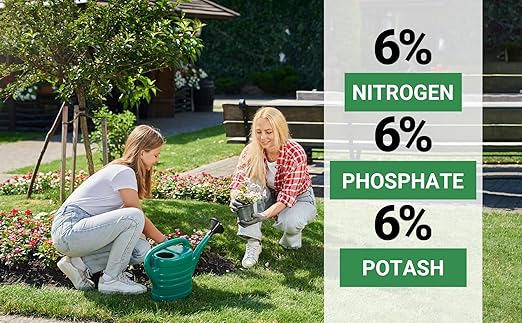 Gardenwise 6-6-6 All-Purpose Professional Plant Food Fertilizer; Ideal for Winter Care & Spring Feeding, Perfect Balanced NPK for Indoor and Outdoor Plants (1 Quart)