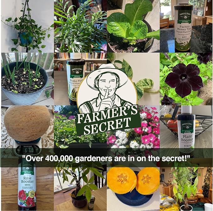 Farmer’s Secret Soil Revitalizer (8oz) - Organic (OMRI Listed) Dirt Health Booster - Liquid Compost Soil Amendment - Activated Humic Acid - Great for Fall/Spring Application
