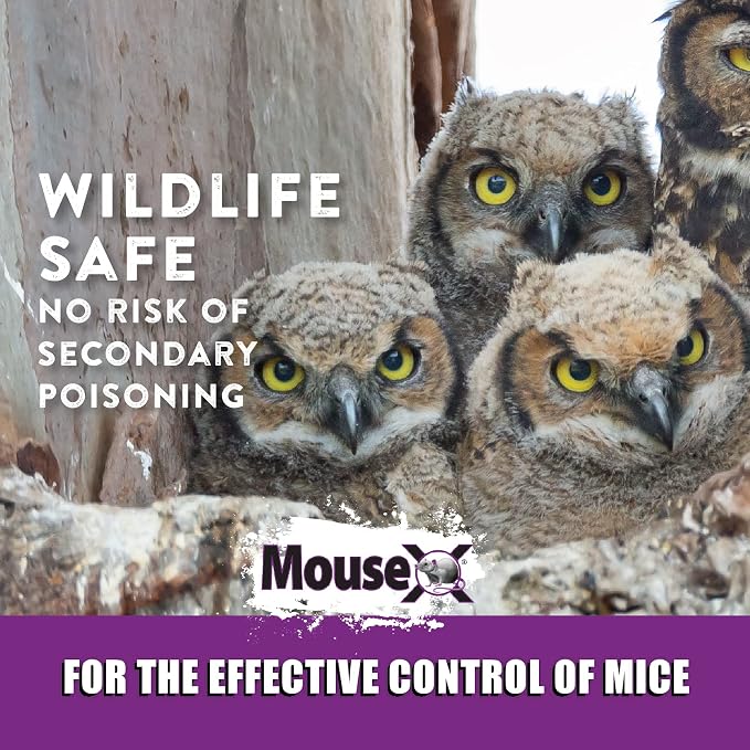 MouseX Rodent Control Bait Trays for Rats & Mice – Poison Free, Pet Safe | Indoor & Outdoor Use Pellets |3 oz Trays - 4 Pack