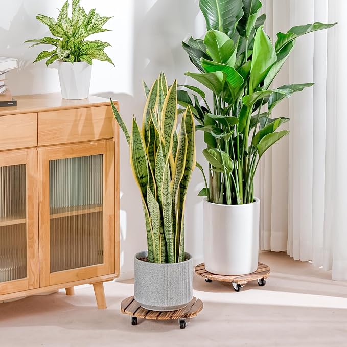 Bamworld Plant Stand Outdoor Rolling Tray Plant Caddy with Wheels 12in Plant Caster with Wheels Planter Caddy Flower Cart Plant Dolly for Heavy Duty Large Plants Plant Rollers (2 Pack ) | Heavy-duty planter dollies make large pots easy to move indoors ...